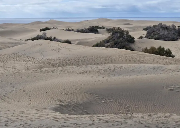 Sonne-con Entrada Independiente Y Parking- 別荘 *