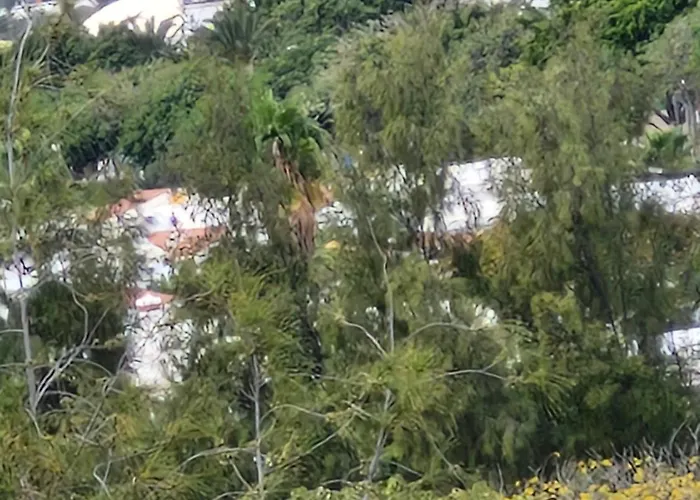 別荘 Sonne-con Entrada Independiente Y Parking- マスパロマス