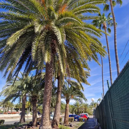 Sonne-con Entrada Independiente Y Parking- Tatil Evi Maspalomas (Gran Canaria)