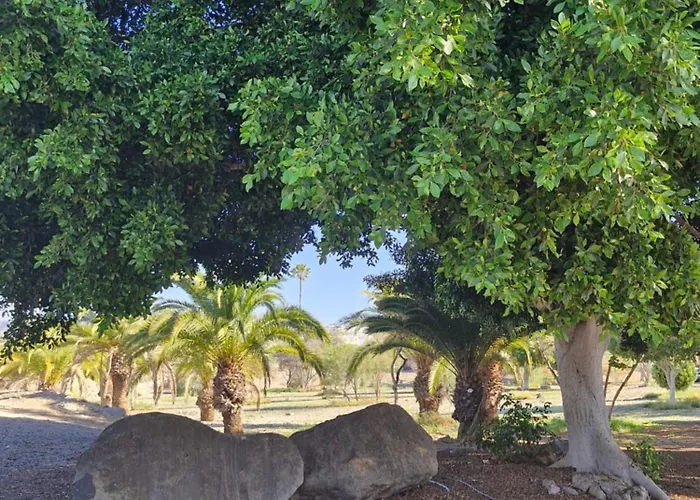 Sonne-con Entrada Independiente Y Parking- * Maspalomas (Gran Canaria)
