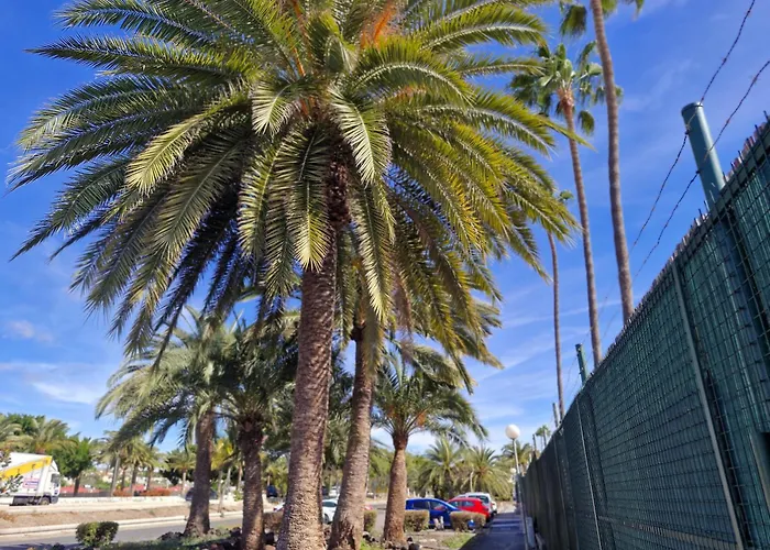 Sonne-con Entrada Independiente Y Parking- Tatil Evi Maspalomas (Gran Canaria)